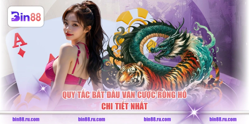 Quy tắc bắt đầu ván cược Rồng Hổ chi tiết nhất 
